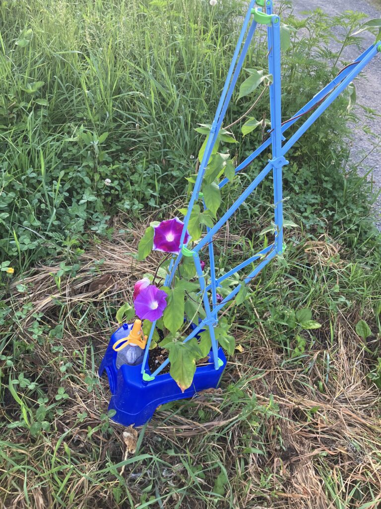 暑くなってきましたね～
